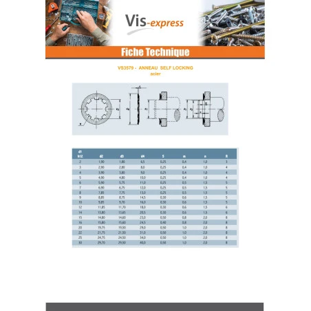 1 X Anneau SELF LOCKING Diamètre 18 Type 876 Acier Brut 4 1 X Anneau SELF LOCKING Diamètre 18 Type 876 Acier Brut – Image 2