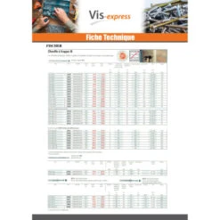 1 X Cheville Clou Tête Plate 8X45 -Vis-express Soldes cheville clou tete plate 8x45 7