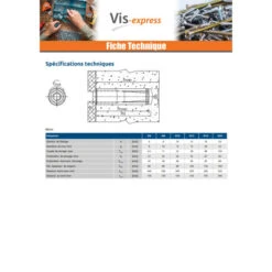 1 X Cheville NUGGET RAWL Acier Zingué 20X80 -Vis-express Soldes cheville nugget rawl acier zingue 20x80 4