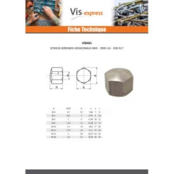 1 X Ecrou Borgne Hexagonal BAS Inox A2 M20 -Vis-express Soldes ecrou borgne hexagonal bas inox a2 m20 2