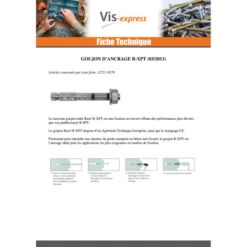 1 X Goujon Ancrage R-XPT M20X200 Acier Zingué -Vis-express Soldes goujon ancrage r xpt m20x200 acier zingue 3