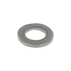 1 X Rondelle Plate M22X40X3 Z Inox A2