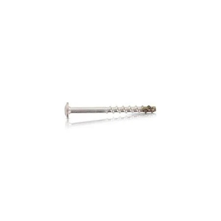 1 X Vis Béton Tête Bombée TORX T30 Inox A4 7.5X100 Filetée Sur 45 4 1 X Vis Béton Tête Bombée TORX T30 Inox A4 7.5X100 Filetée Sur 45 – Image 2