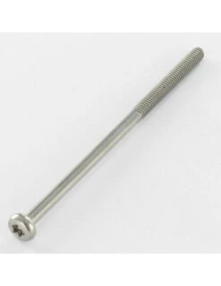 1 X Vis Métaux Tête Cylindrique Bombée TCB TORX T20 4X78 Filetée Sur 30 Inox A2